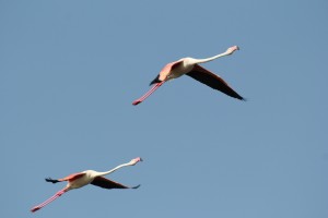 IMG_3327