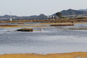 IMG_3595