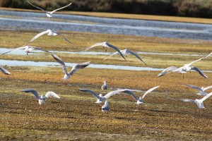 IMG_3601
